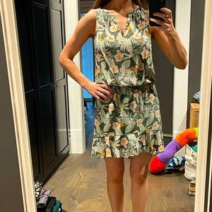Joie summer dress